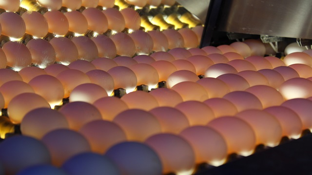 Yumurtada fiyatların aylık olarak belirlenmeye başlanması sektörde ihracat yapan firmaları memnun etti. 