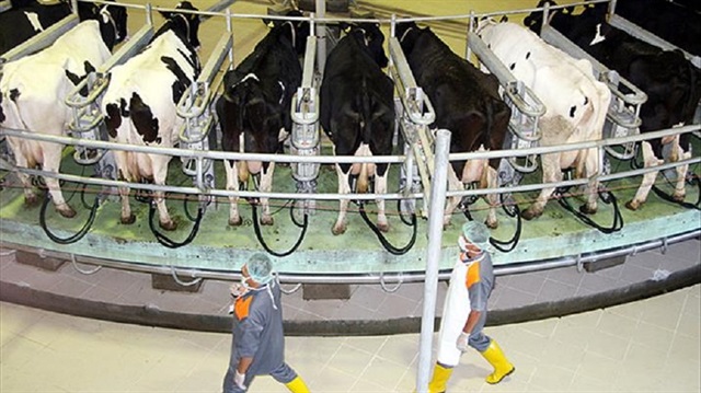 TÜİK, Süt ve Süt Ürünleri Üretimi  verilerini açıkladı.