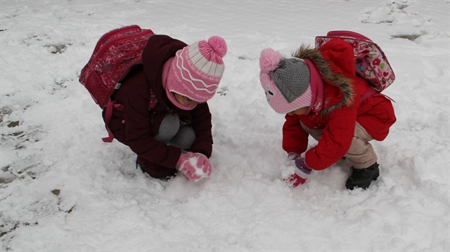 Bazı illerde yoğun kar yağışı nedeniyle okullar tatil edildi. 