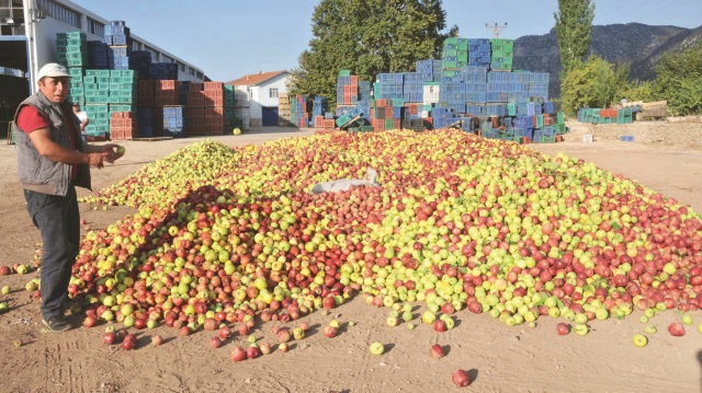 Yılda 500 bin ton elma çöpe atılıyor.
