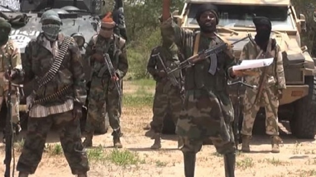 Nijerya'da militanlara uygulanan af programına dair soruşturma başlatıldı.