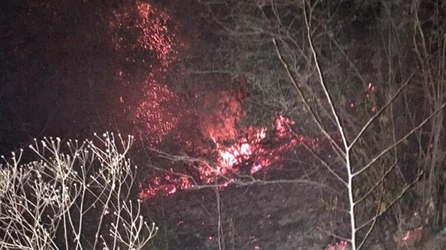 Zonguldak'ta orman yangını büyümeden söndürüldü