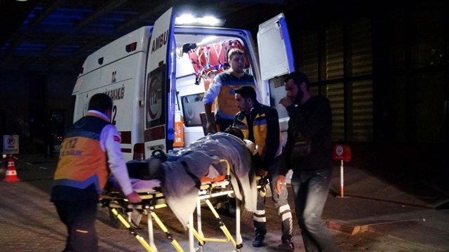 El Bab'da yaralanan 12 ÖSO askeri, Kilis'e getirildi


