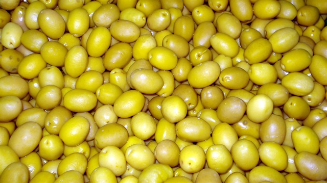2015-2016 sezonunda 175 milyon dolarlık sofralık zeytin ve zeytinyağı ihraç edildi.