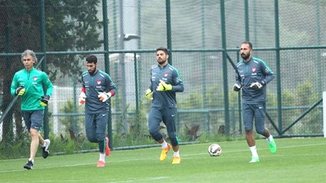 Ali Şaşal Vural A Milli Takımın EURO 2016'daki  aday kadrosunda yer almıştı.