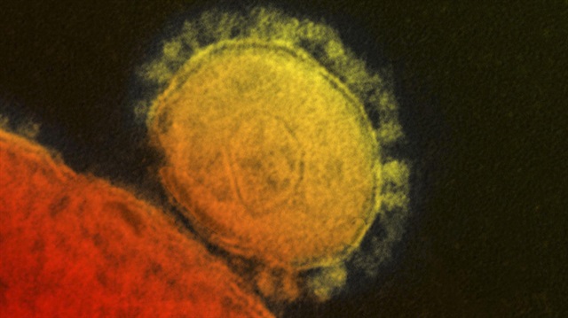 he Middle East Respiratory Syndrome (MERS) coronavirus is seen in an undated transmission 