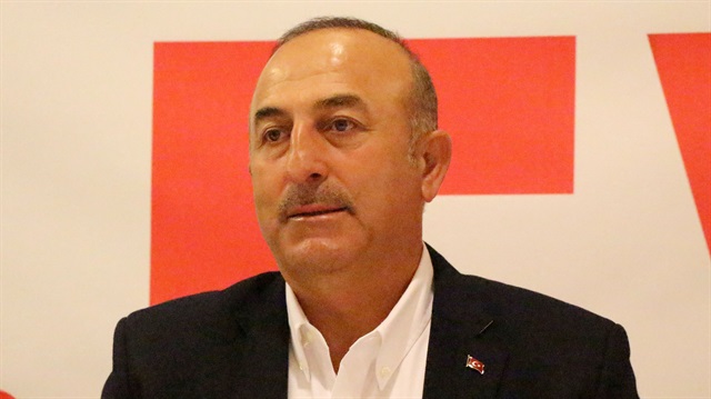 Dışişleri Bakanı Çavuşoğlu'ndan referandum anketi açıklaması
