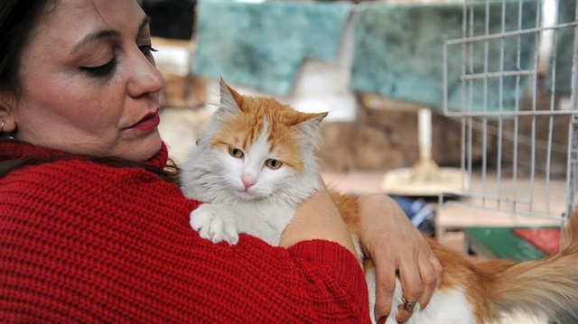 "بارِش" قطة سورية خرجت من بين الأنقاض لتدخل عالم الشهرة