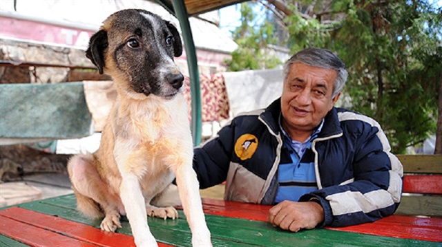 Metin Boz, köpeğin tedavisinin ardından hem bakımı hem de yurt dışı işlemleri için Gaziantep'teki Canlı Hayatı İyileştirme Derneğine (CAHİDE) gönderildiğini söyledi.
