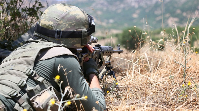 Güvenlik güçleri, terör örgütü PKK'ya yönelik operasyonlarını sürdürüyor. 