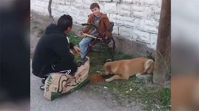 Engelli çocuk, köpeği beslenince sevinçten havaya uçtu