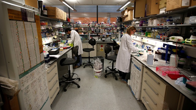 Scientists work in a laboratory