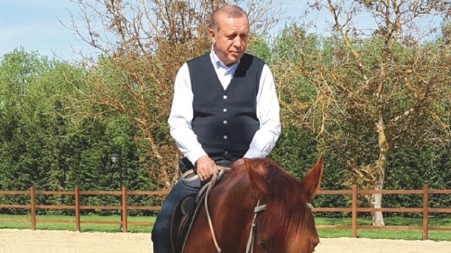 ​​صورة أردوغان على الحصان تحدث ضجّة على مواقع التواصل الاجتماعيّ