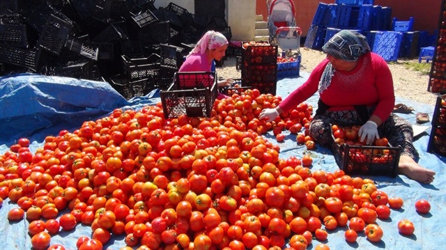 İhracat ve ithalatta enflasyon odaklı yeni strateji uygulanacak. 