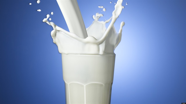 Günde 2 bardak süt, az yağlı ve orta seviyeli kalori kısıtlamasıyla, göbek yağlarını daha kolay eritebiliyor. 