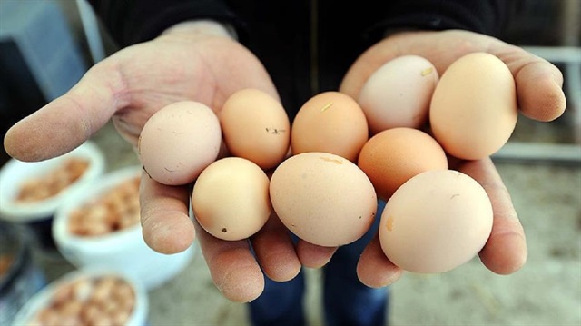 ​Yumurta fiyatları düşerken tavuk fiyatları yükseldi.