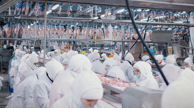 Brezilyalı tavuk üreticisi BRF'nin yüzde 60 pay sahibi, Katar ulusal varlık fonuna ait Qatar Holding'in yüzde 40 paya sahip olduğu TBQ Foods devir işleminin ardından zorunlu pay alımı yapmak üzere Sermaye Piyasası Kurulu'na da başvuruda bulunacak.