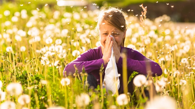 Özellikle kuru ve rüzgarlı havalarda polen miktarı fazla olduğu için alerjik rinitin görülme sıklığı da artıyor.