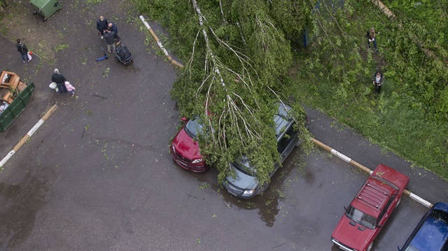 Moskova'daki fırtınadan 3 bin 500 ağaç etkilendi. 