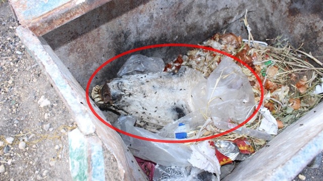 Çöp konteynerinde görünce dehşete düştüler