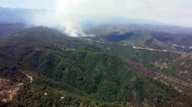 Hatay’daki orman yangınında 25 hektar alan zarar gördü