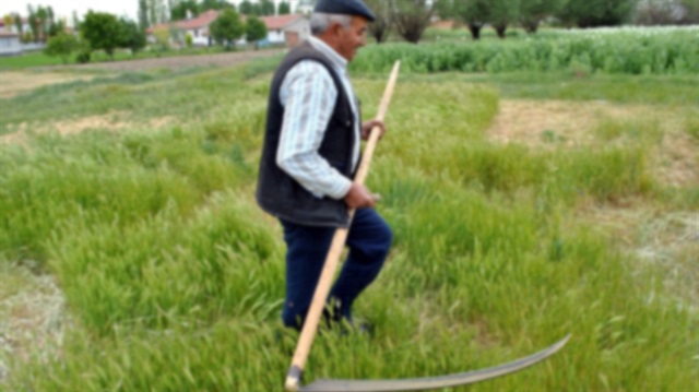 مزارع تركيّ يحصد فسيفساء عمرها 1500 عام