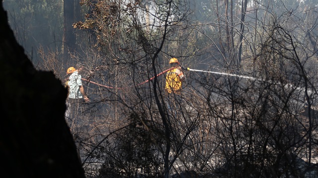 Antalya'daki orman yangınına itfaiye ekipleri müdahalede bulundu. 