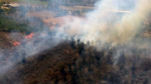 Muğla Milas'ta çıkan yangın kısa sürede ormanlık alana yayıldı.
