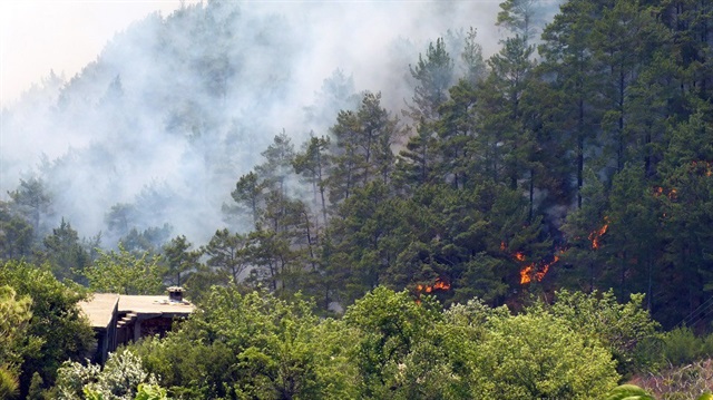 Anamur’daki orman yangını

