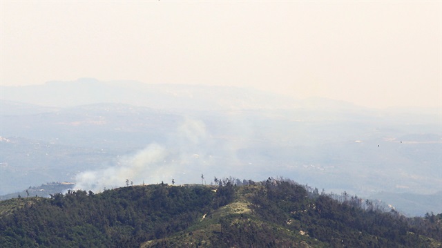 Suriye sınırında orman yangını
