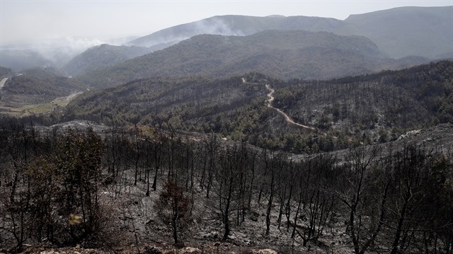Aşırı sıcaklarla birlikte yurt genelinde orman yangınları arttı.