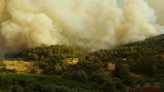 Antalya ormanları 8 ayrı noktadan yandı