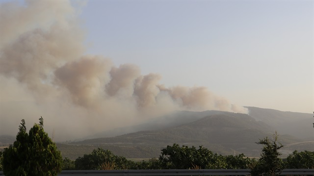 Denizli'de iki ayrı yerde orman yangını çıktı