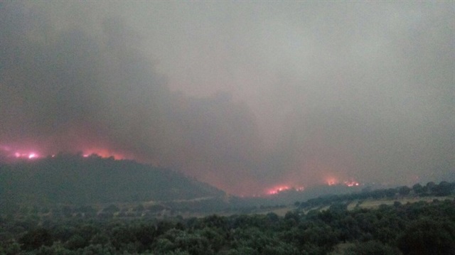 Denizli’de orman yangını çıktı, 1 mahalle boşaltıldı