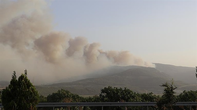 Orman yangını nedeniyle 3 mahalle boşaltıldı. 