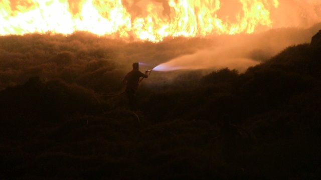 Bodrum'daki yangına itfaiye ekipleri müdahale etti. 