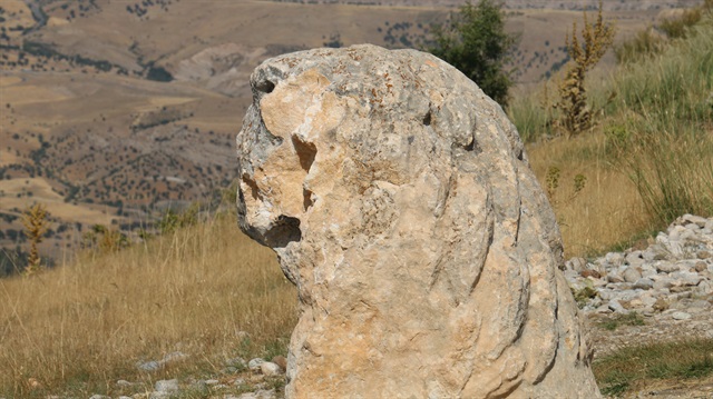 Kommagene Krallığı'ndan kalan 2 bin yıllık taş aslan heykeli. 