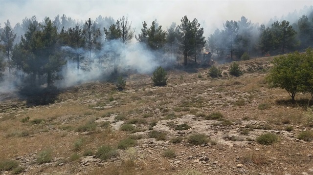 Konya'da çıkan orman yangınına müdahale sürüyor.