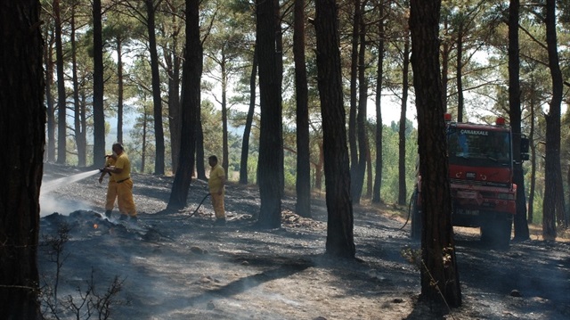 Bursa'nın Orhaneli ilçesinde yaklaşık 5 hektar alanda etkili yangın kontrol altına alındı.