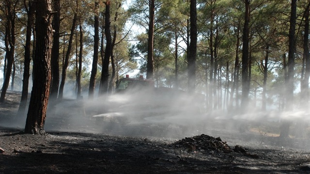 Hatay Yerel Haber: ​Kırıkhan ilçesinde çıkan yangında 1,5 hektarlık alan zarar gördü.