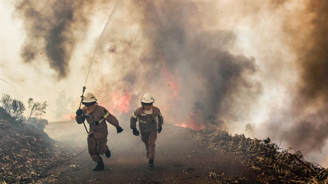Avrupa orman yangınlarıyla boğuşuyor