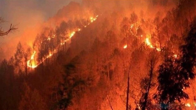 10 yılda çıkan orman yangınlarında, yıllık ortalama 9 bin hektar alan zarar gördü.