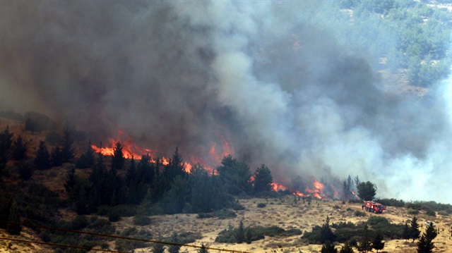 Hatay’da orman yangını! Hatay'da 10 hektarlık alan zarar gördü