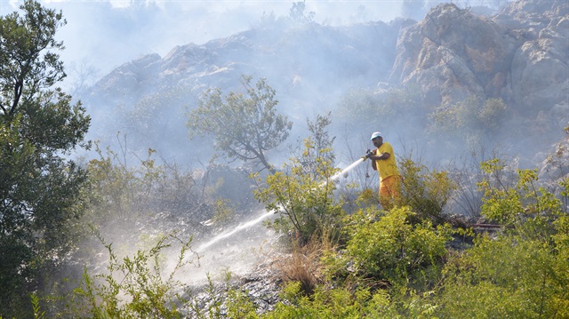 Adana'da orman yangını soğutma çalışmaları sürüyor! Adana haber