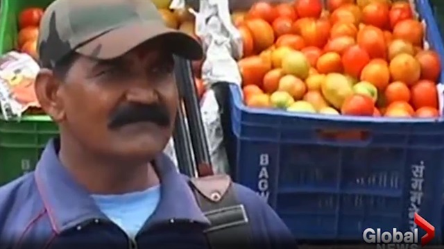 Hindistan'ın Madya Pradeş eyaletinde domates fiyatları hızla yükselince, sebze halinde olası hırsızlık girişimlerini önlemek için silahlı korumalar görevlendirildi.

