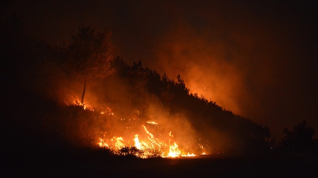 İzmir Bayındır'daki orman yangınında son durum