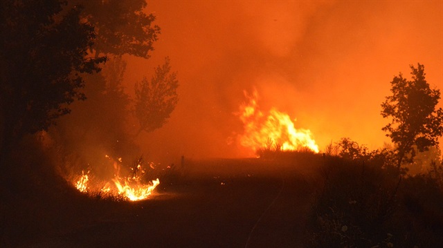 İzmir'in Bayındır ilçesinde orman yangını çıktı