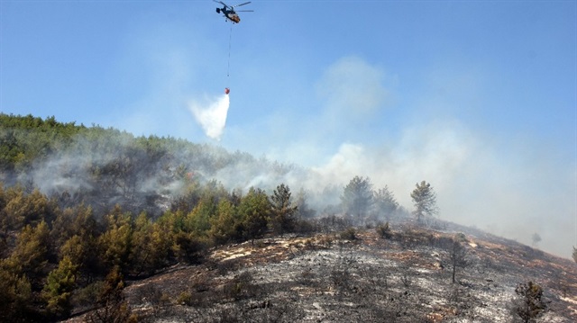Yangında 10 hektarlık kızılçam ormanı zarar gördü.