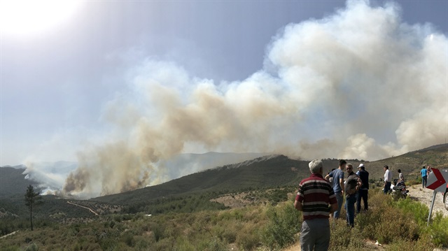 İzmir'deki orman yangını söndürme çalışmaları devam ediyor