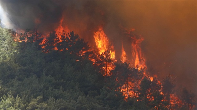 Fransa'daki orman yangınlarında 5 bin hektarlık alan yandı